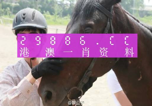 ＂澳门必中一一肖一码服务内容＂的：实证分析详细枕_稳定版3.13