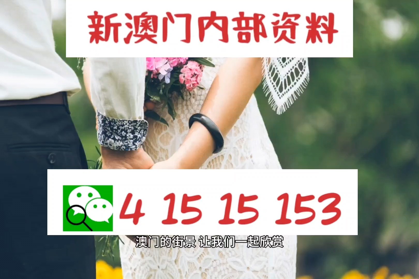 ＂澳门最准的资料免费公开＂的：全盘细明说明_专业版6.42