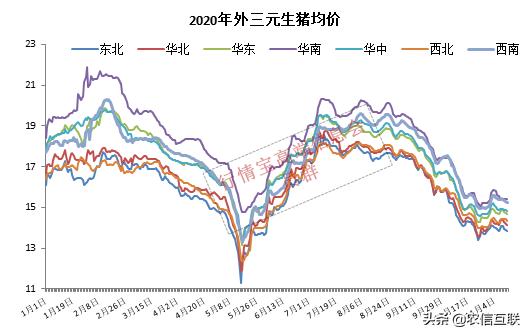 行情宝App深度解析与观点阐述