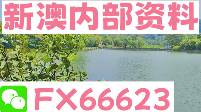＂新澳精准资料免费提供网站＂的：灵活性执行方案_温馨版3.17