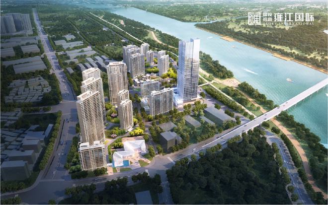 襄阳宠物市场新址，自然探索之旅，人与宠物的邂逅之旅