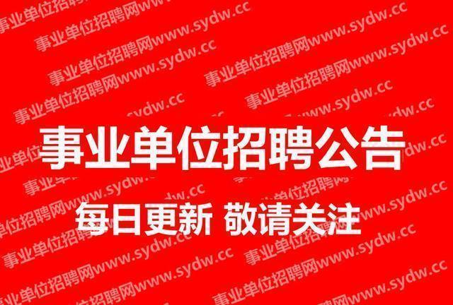 东戴河最新招工信息解析，影响与观点阐述