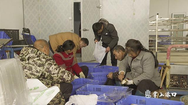 株洲上市公司一览，跟随自然美景探寻内心绿洲之旅