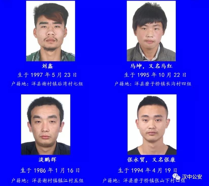 孝昌最新通缉公告,孝昌最新通缉公告，一起探索自然美景，寻找内心的平和与宁静
