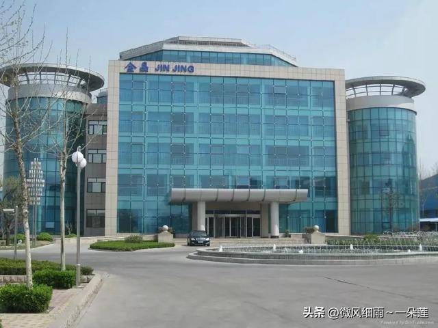 淄博上市公司，学习、变革与成就的力量展现