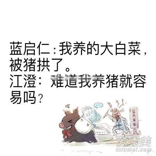 最新兔子梗，温馨日常与友情故事