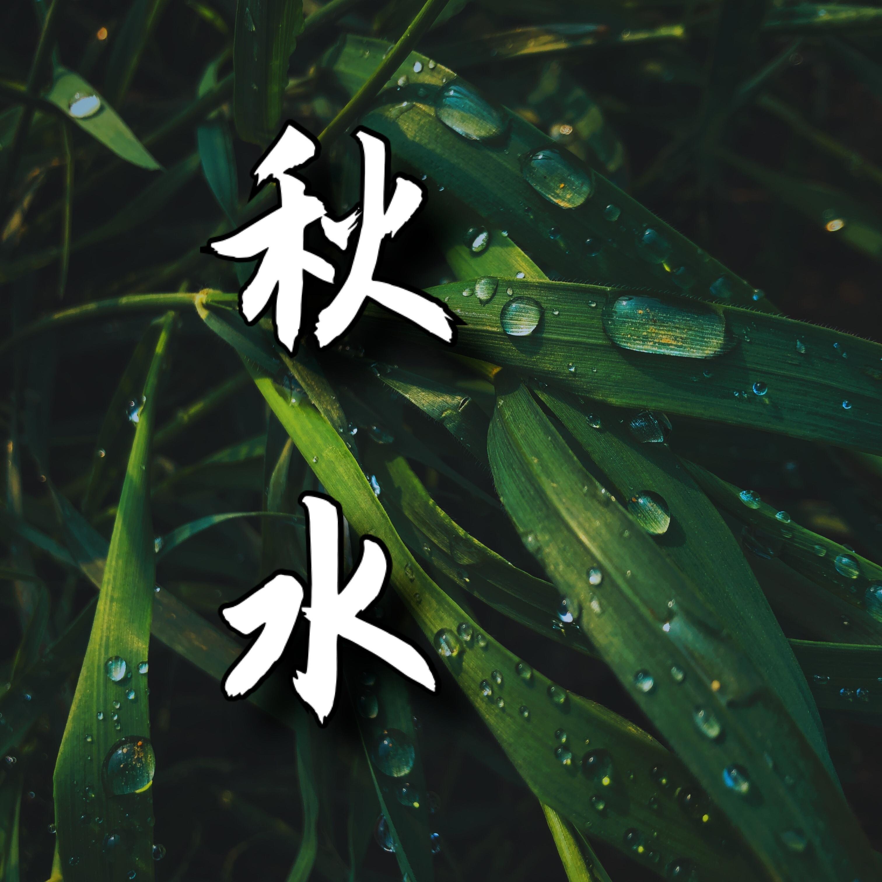 秋水最新音频，一段温馨有趣的日常故事赏析