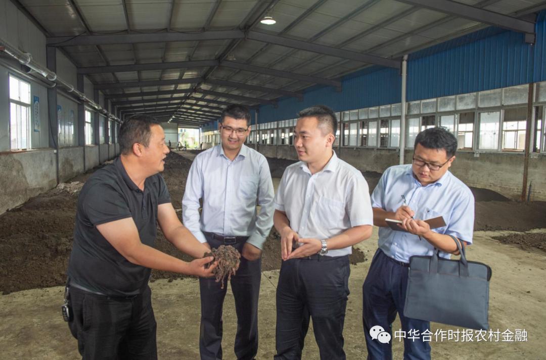 最新利率模式深度解析与观点阐述