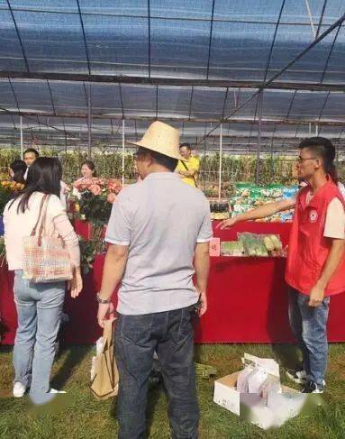 通海最新服务，温馨日常故事启程的起点