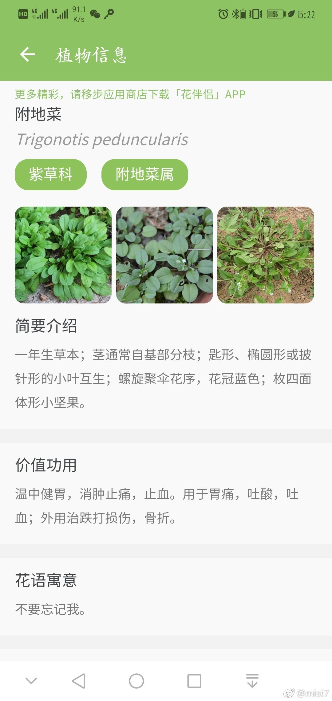 最新地霍，观点的碰撞与探讨盛会
