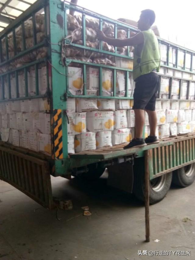 莴笋最新价格行情分析与走势预测