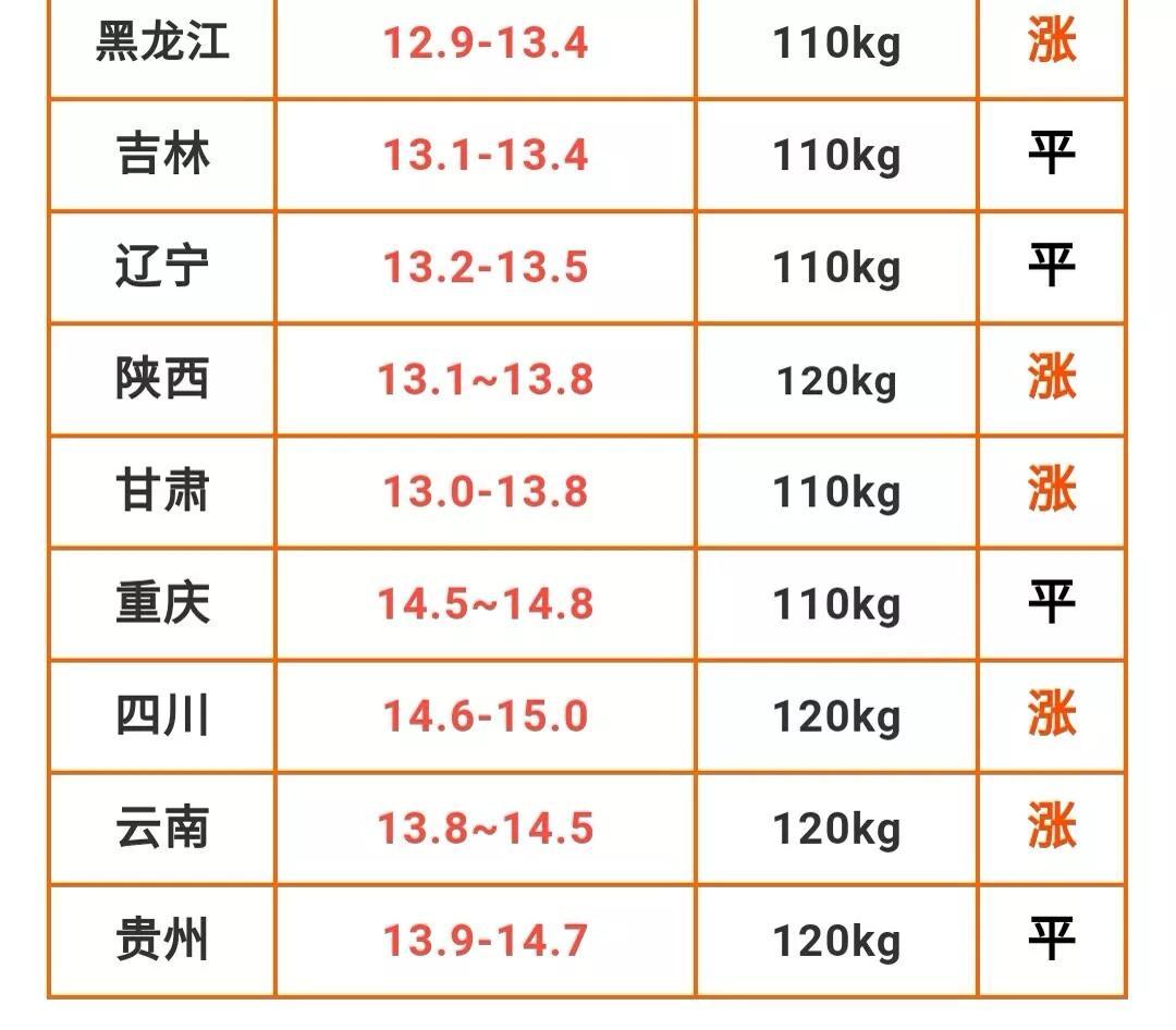 今日生猪价格走势预测及指南，最新趋势分析
