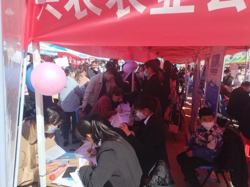 乌苏人力资源最新招聘，求职奇遇记，爱与陪伴的旅程